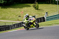 cadwell-no-limits-trackday;cadwell-park;cadwell-park-photographs;cadwell-trackday-photographs;enduro-digital-images;event-digital-images;eventdigitalimages;no-limits-trackdays;peter-wileman-photography;racing-digital-images;trackday-digital-images;trackday-photos